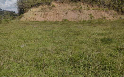 Lote en El Peñol Morro con Acceso por Carretera Pavimentada – MLS 248508