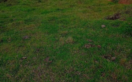 Lote de Desarrollo de 1 Hectárea en La Honda, El Peñol – MLS 252944