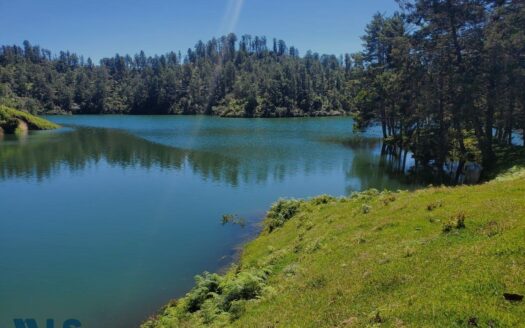 El Peñol Vereda Marial Terreno Frente al Agua – MLS 246278