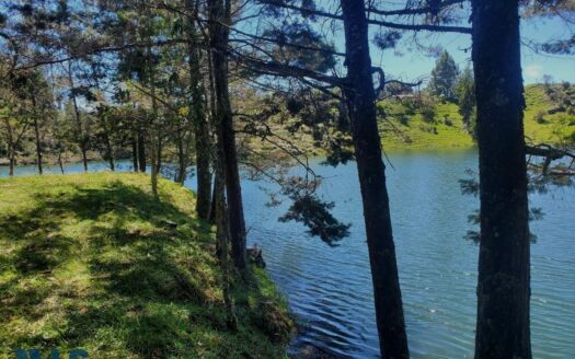 El Peñol Vereda Marial Terreno Frente al Agua – MLS 246278