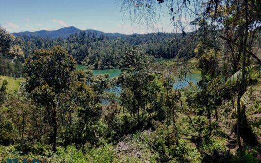 El Peñol Vereda Marial Terreno Frente al Agua – MLS 246278