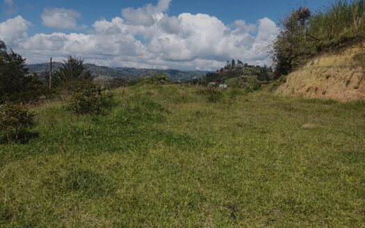 Lote en El Peñol Morro con Acceso por Carretera Pavimentada – MLS 248508